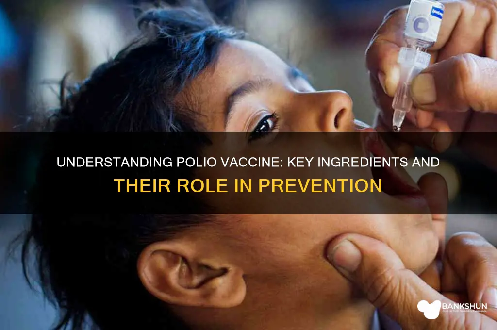 what are the ingredients in polio vaccine