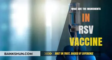 RSV Vaccine Ingredients: A Comprehensive Breakdown of Its Composition