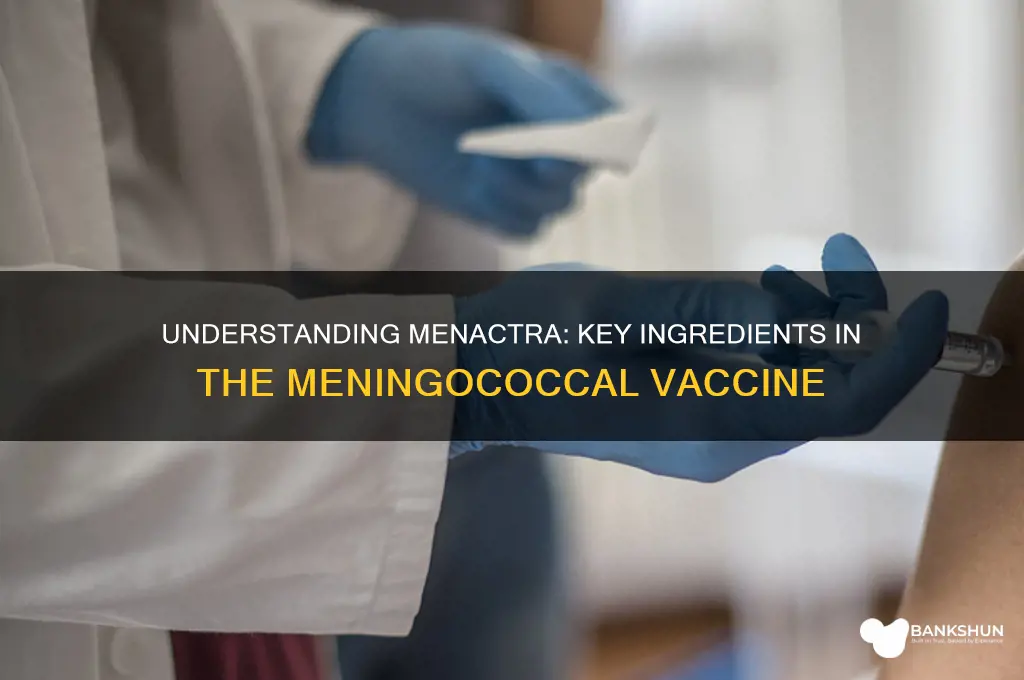 what are the ingredients of menactra vaccine