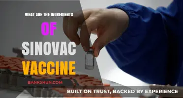 Understanding Sinovac Vaccine: Key Ingredients and Their Roles Explained