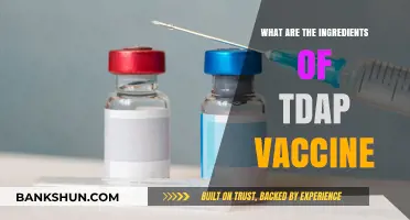 Understanding Tdap Vaccine: Key Ingredients and Their Role in Protection