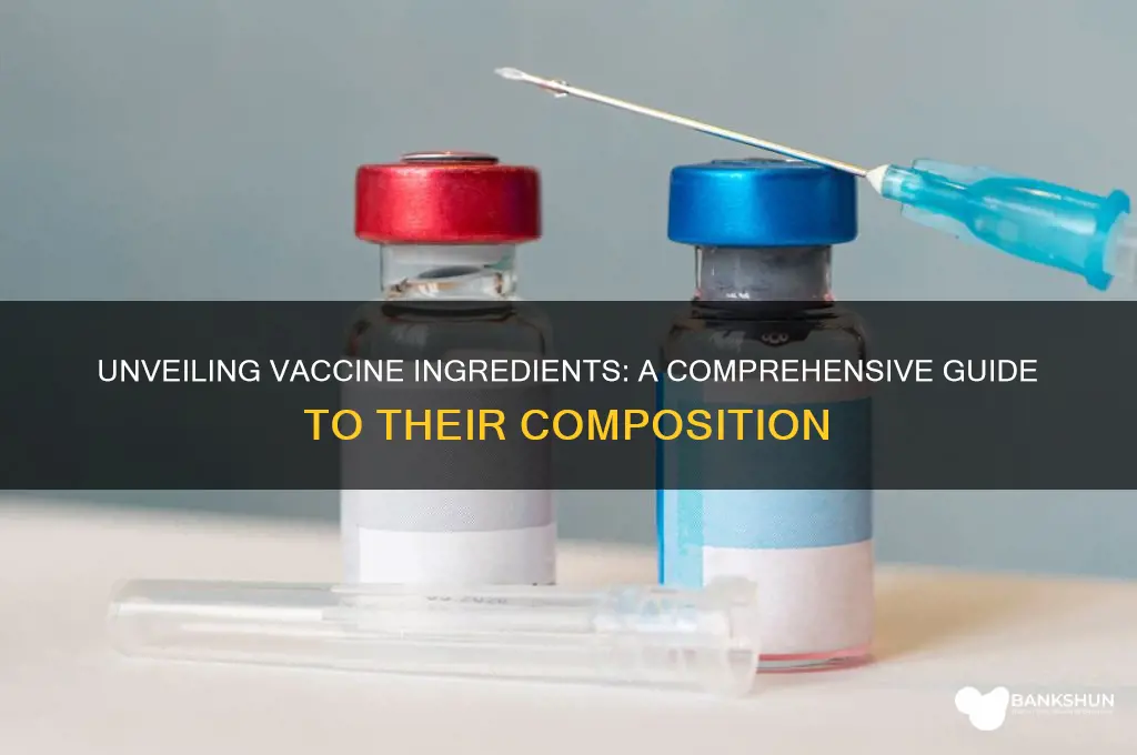 what are the ingridients of the vaccines