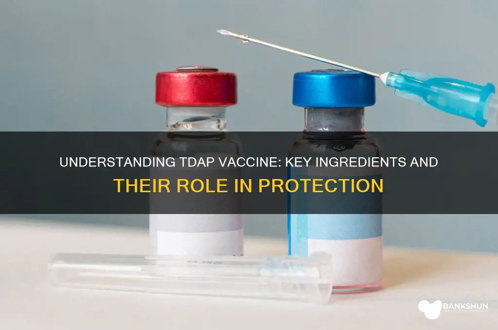 what are the ingtredients in tdap vaccine