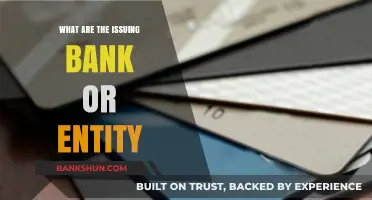 Understanding Issuing Banks and Entities in Payment Processing