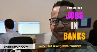 Exploring IT Careers in Banking: Roles, Skills, and Opportunities