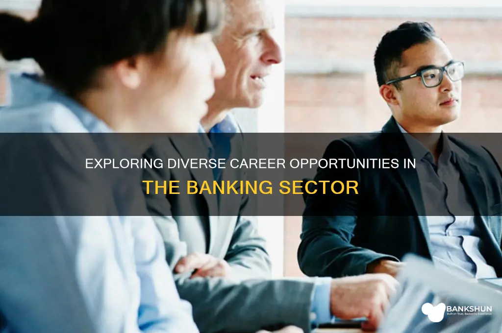 what are the jobs in banking sector