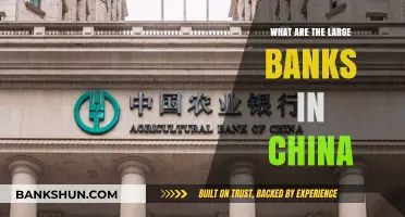 Exploring China's Largest Banks: A Comprehensive Overview of Financial Giants