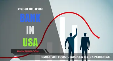 Exploring the Largest Banks in the USA: A Comprehensive Overview