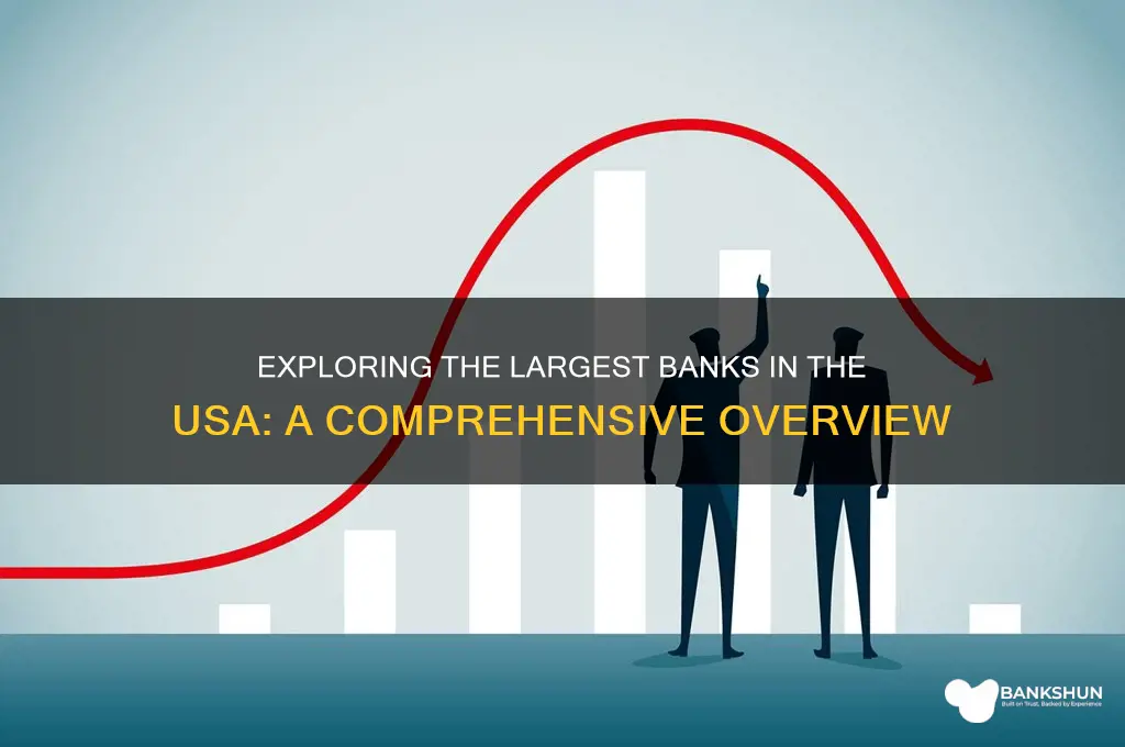 what are the largest bank in usa