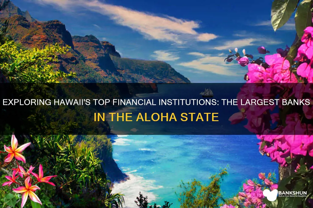 what are the largest banks in hawaii
