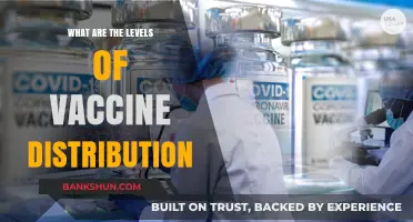 Understanding Vaccine Distribution: A Breakdown of Global Allocation Levels
