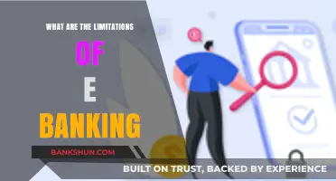 Exploring the Key Limitations of E-Banking: Challenges and Concerns