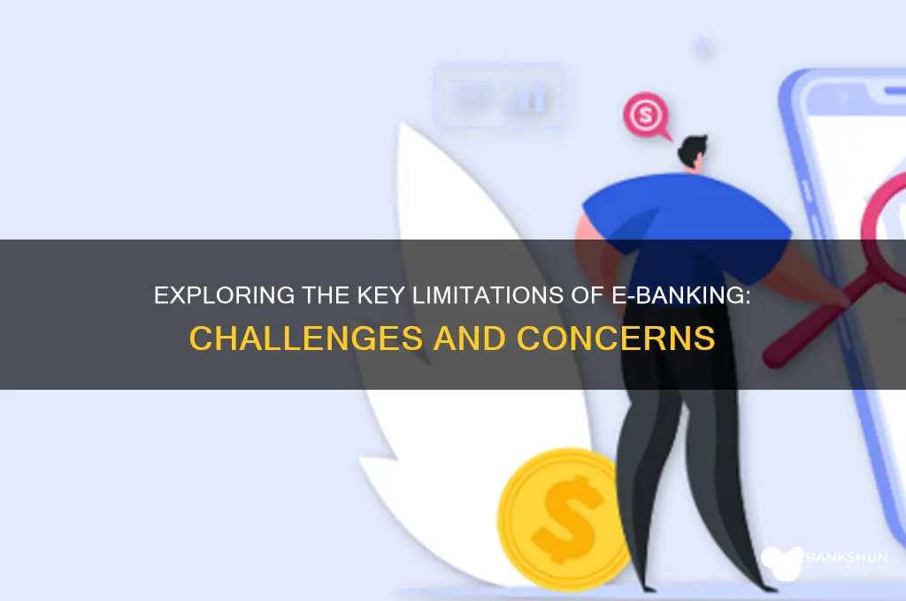 what are the limitations of e banking
