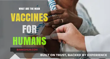 Essential Human Vaccines: Protecting Lives with Key Immunizations