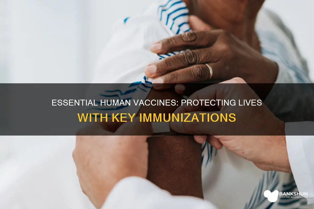 what are the main vaccines for humans