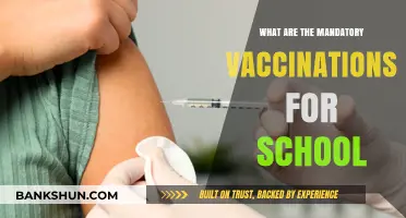 Essential School Vaccinations: Mandatory Immunizations for Student Enrollment