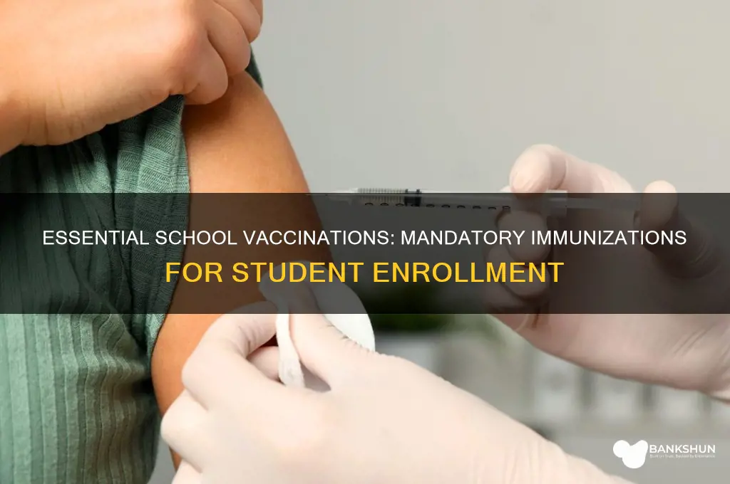 what are the mandatory vaccinations for school