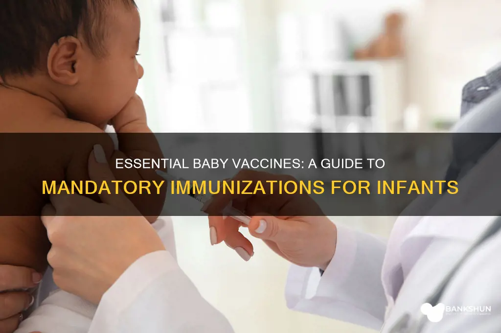 what are the mandatory vaccines for babies
