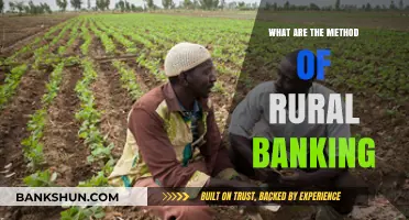 Exploring Effective Methods of Rural Banking for Financial Inclusion
