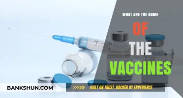 Exploring the Names of Vaccines: A Comprehensive Guide to Immunizations