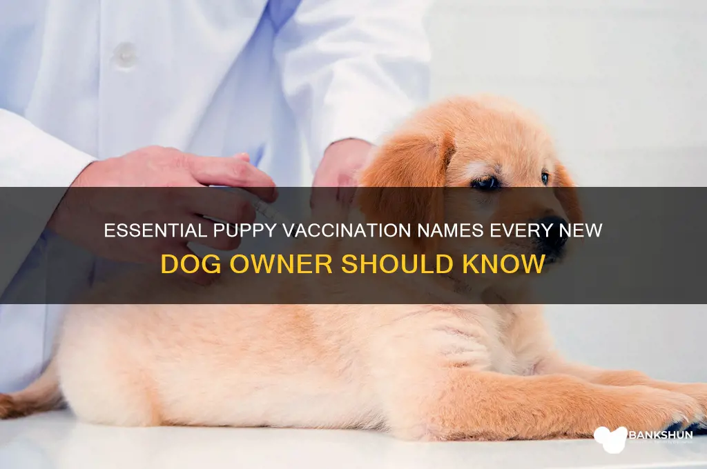 what are the names of puppy vaccinations