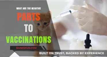Vaccination Concerns: Exploring Potential Risks and Side Effects