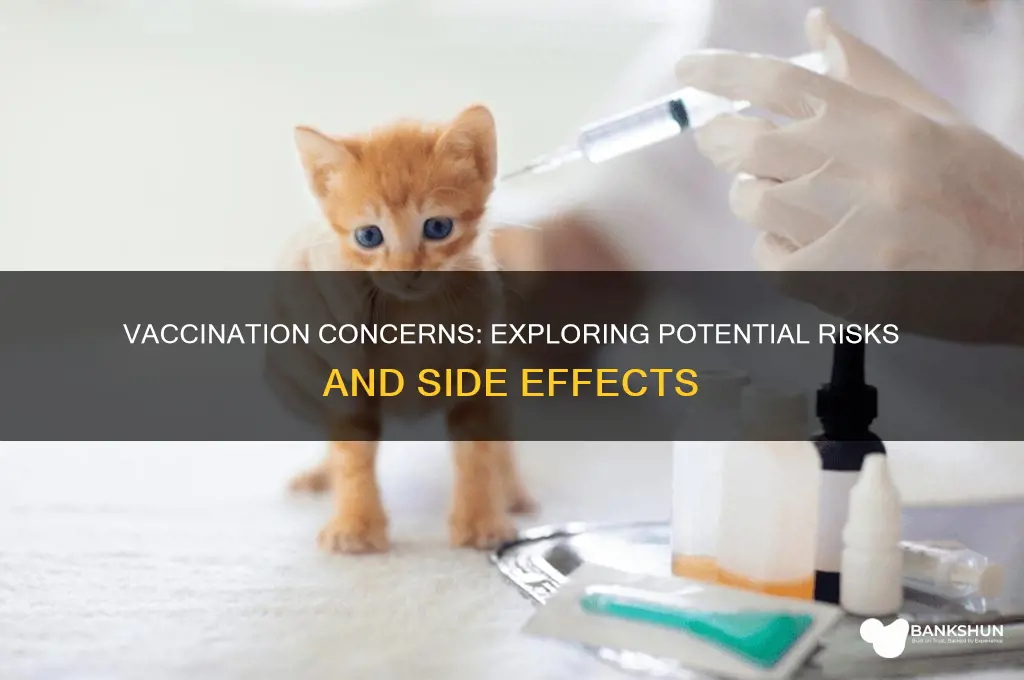 what are the negative parts to vaccinations