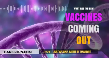 Upcoming Vaccines: Innovations and Breakthroughs in Disease Prevention