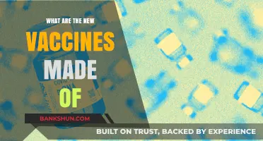 Unveiling Modern Vaccines: Ingredients and Innovations in Today's Formulations
