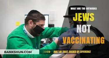 Orthodox Jewish Vaccine Hesitancy: Exploring Reasons Behind Low Vaccination Rates