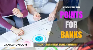 Addressing Key Challenges: Understanding Banks' Major Pain Points Today