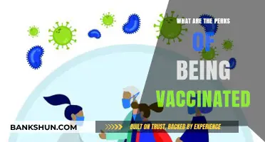 Vaccinated Benefits: Health, Freedom, and Peace of Mind Explained