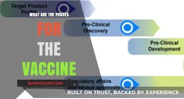 Understanding the Key Phases in Vaccine Development and Approval