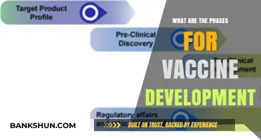 Understanding the Critical Phases of Vaccine Development and Approval