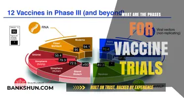 Understanding Vaccine Development: Key Phases of Clinical Trials Explained