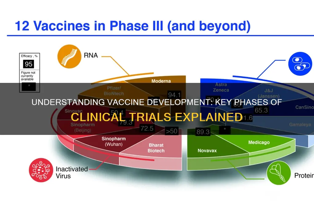 what are the phases for vaccine trials