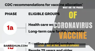 Understanding the Key Phases of Coronavirus Vaccine Development and Distribution