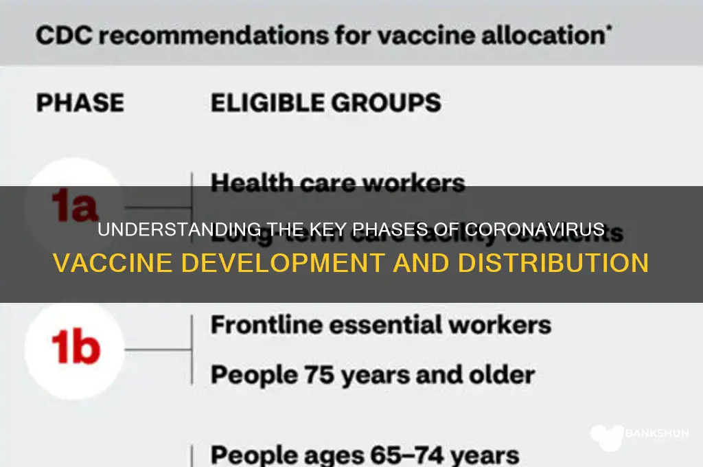 what are the phases of coronavirus vaccine