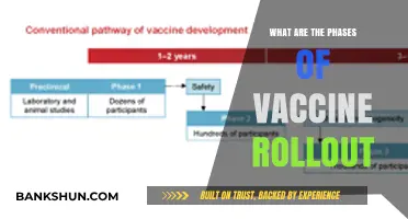 Understanding the Key Phases of a Successful Vaccine Rollout