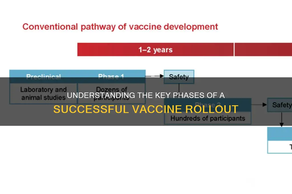 what are the phases of vaccine rollout