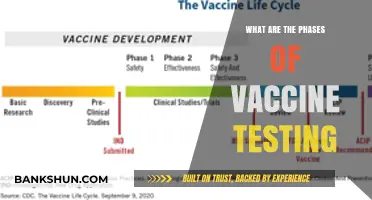 Understanding Vaccine Development: Key Phases of Rigorous Testing Explained