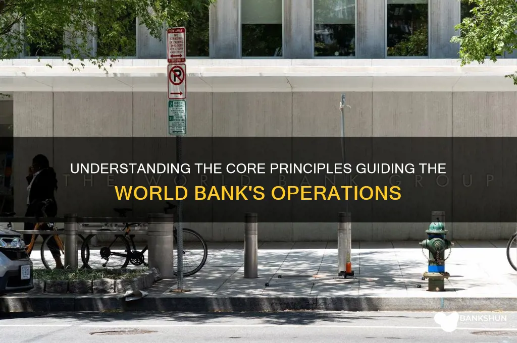 what are the principles of world bank