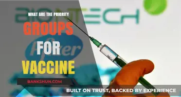 Identifying Priority Groups for COVID-19 Vaccine Distribution: A Comprehensive Guide