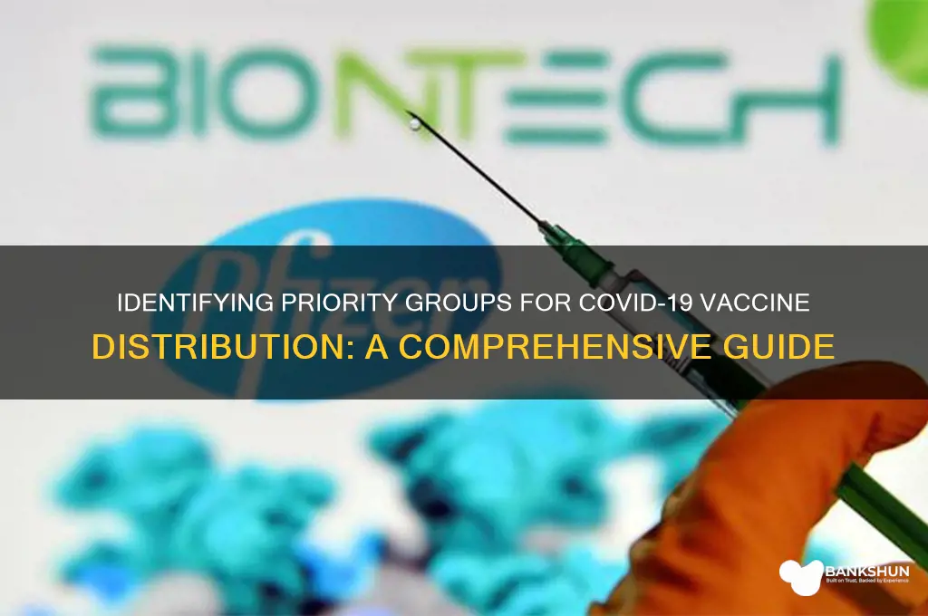 what are the priority groups for vaccine