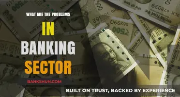 Challenges Facing the Banking Sector: Key Issues and Solutions