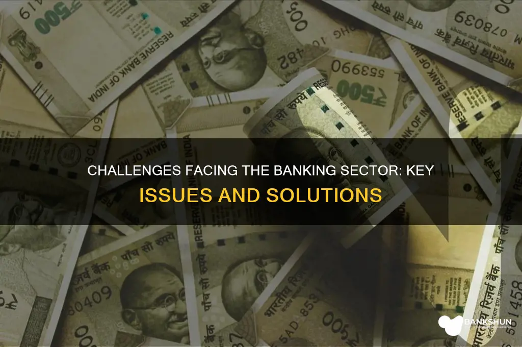 what are the problems in banking sector