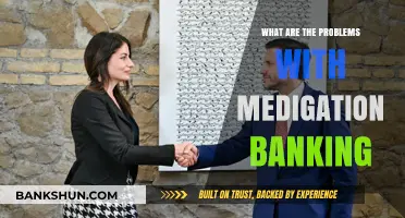 Challenges in Mediation Banking: Risks, Inefficiencies, and Regulatory Concerns