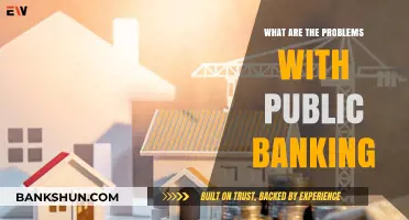 Challenges of Public Banking: Risks, Inefficiencies, and Political Influence