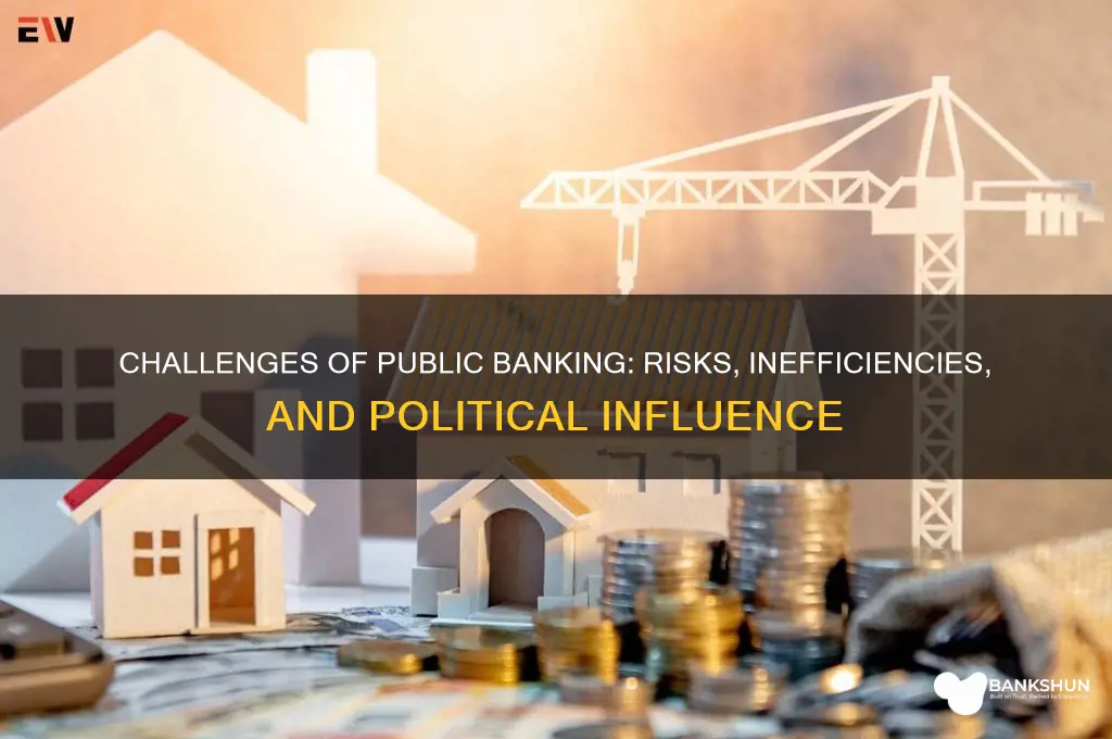 what are the problems with public banking