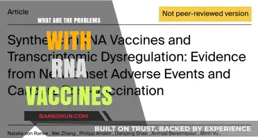 RNA Vaccines: Uncovering Potential Risks and Limitations in Immunization